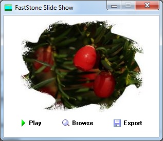 Faststones Slideshow Builder
