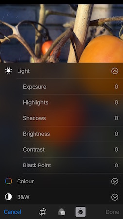 A Photographers Review of the iPhone 6S