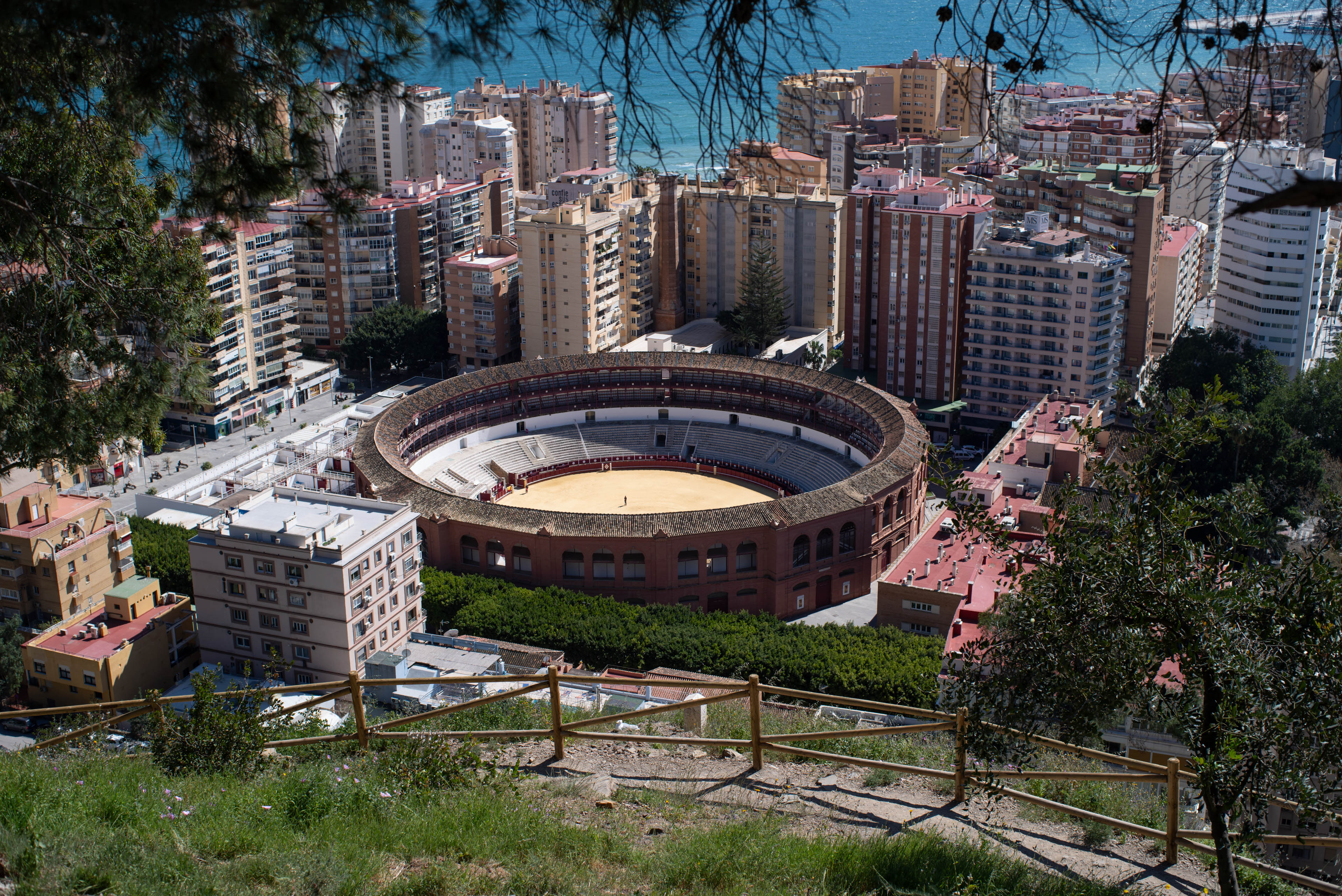 image of the month April