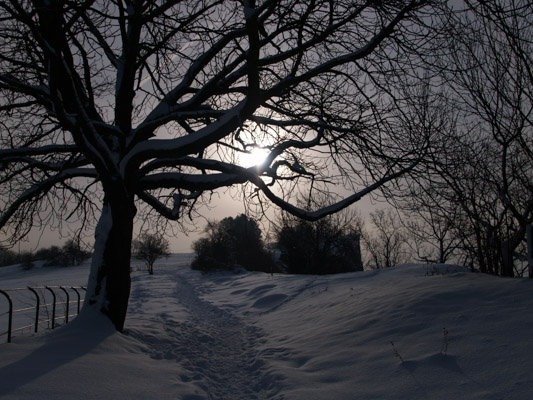 Image of the Month December 2013
