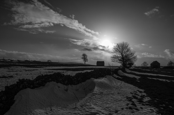 Image of the Month February 2013