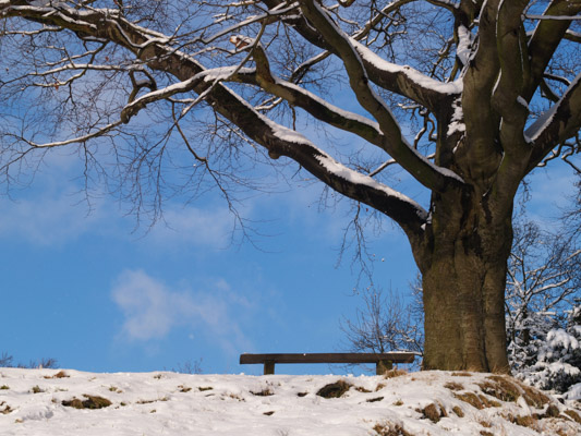 Image of the Month January 2013
