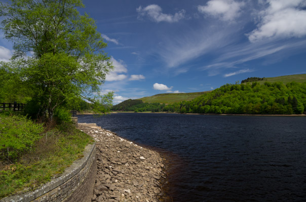 Image of the Month June 2013