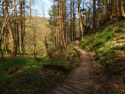 Image of the Month April 2014