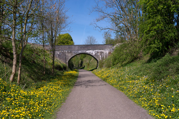 Image of the Month May 2014