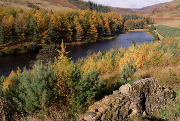 Image of the Month October 2014