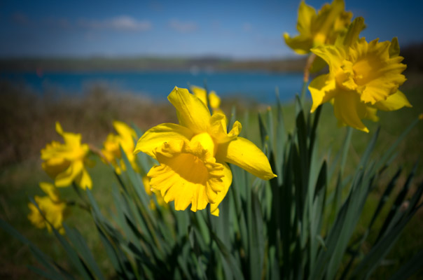 Image of the Month April 2015