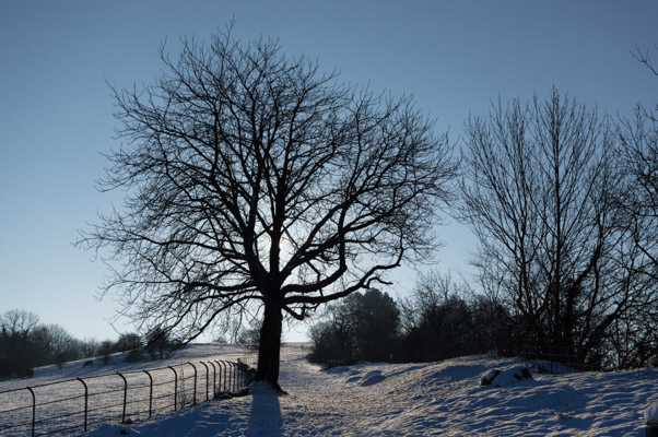 Image of the Month January 2015
