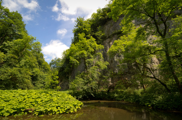 Image of the Month June 2019