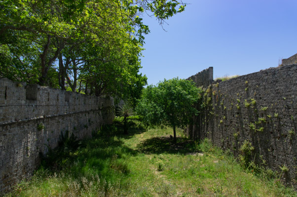 Image of the Month June 2022