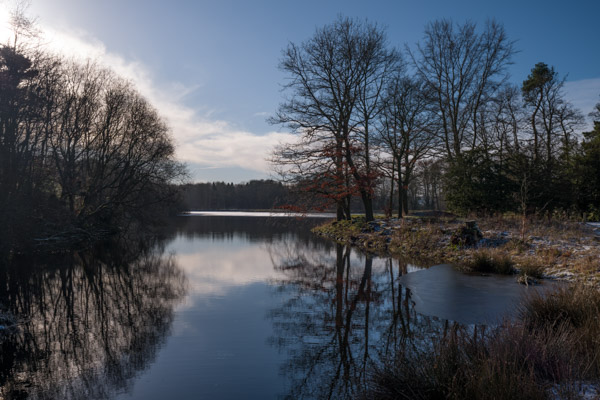 Image of the Month November 2023