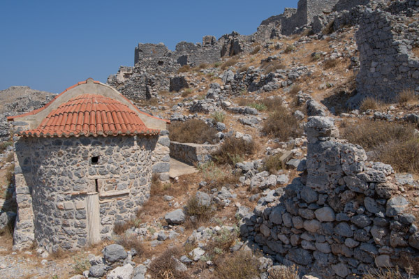 Image of the Month August 2024