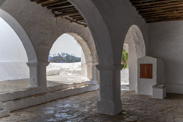 Image of the Month June 2024