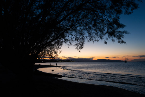Image of the Month October 2024