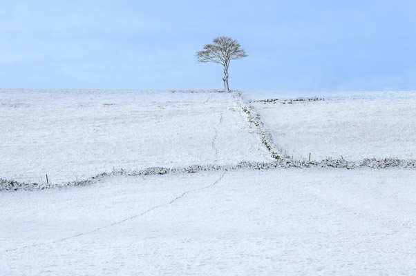 Image of the Month December 2025