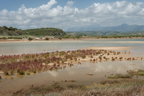 Image of the Month September 2025