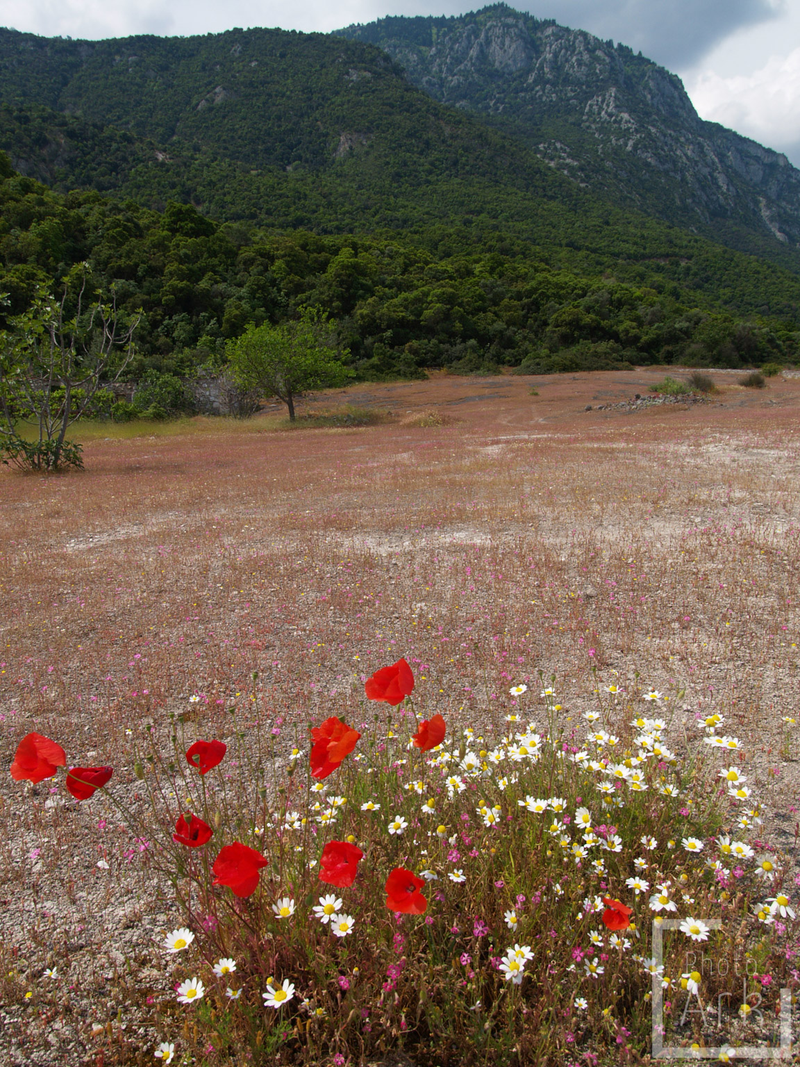 Central Greece Thermopylae Battle Field
