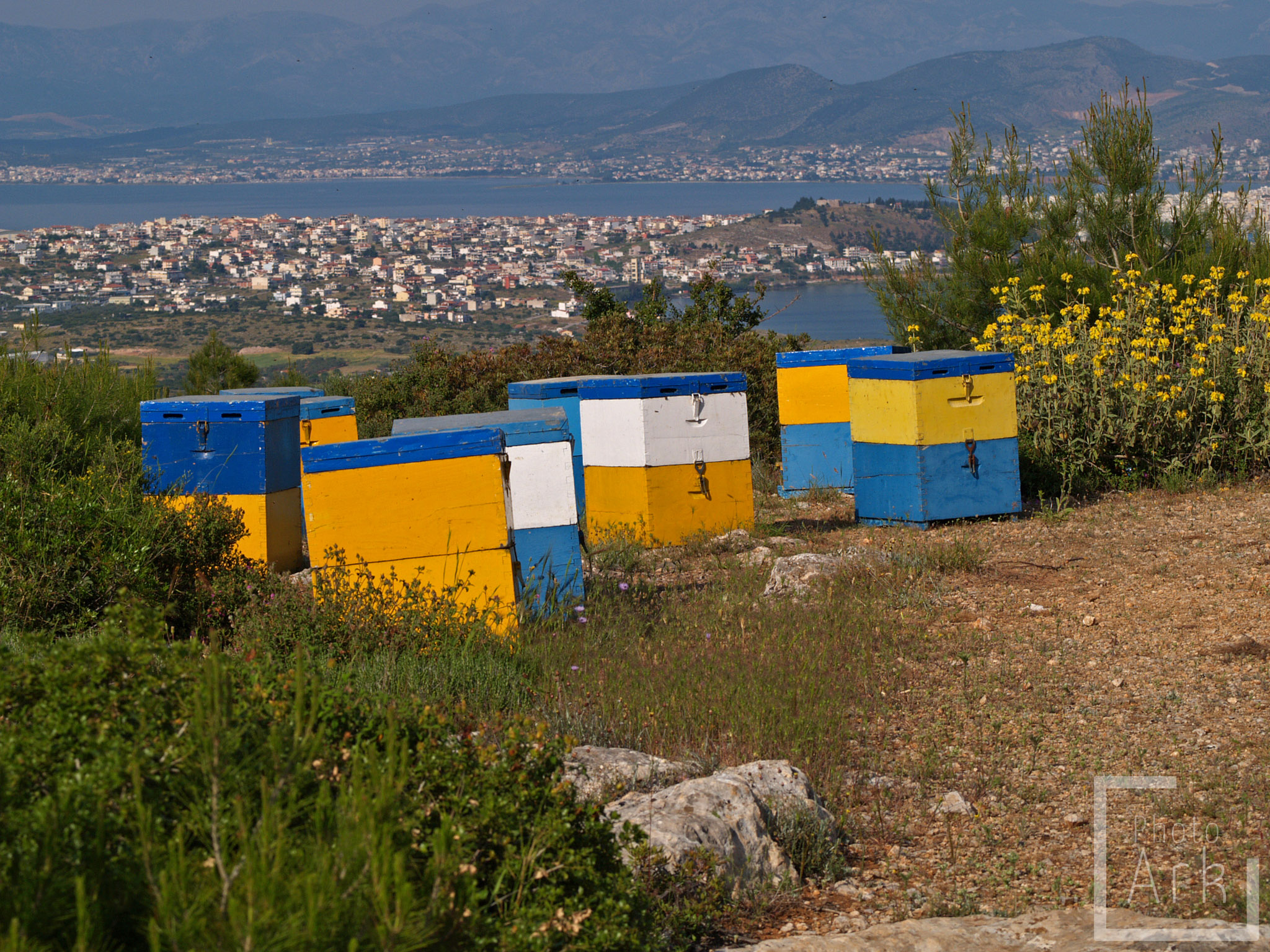 Central Greece Near Aulis