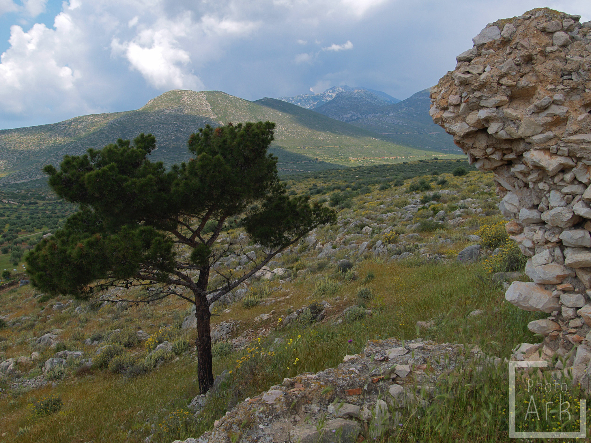 Central Greece Thisvi
