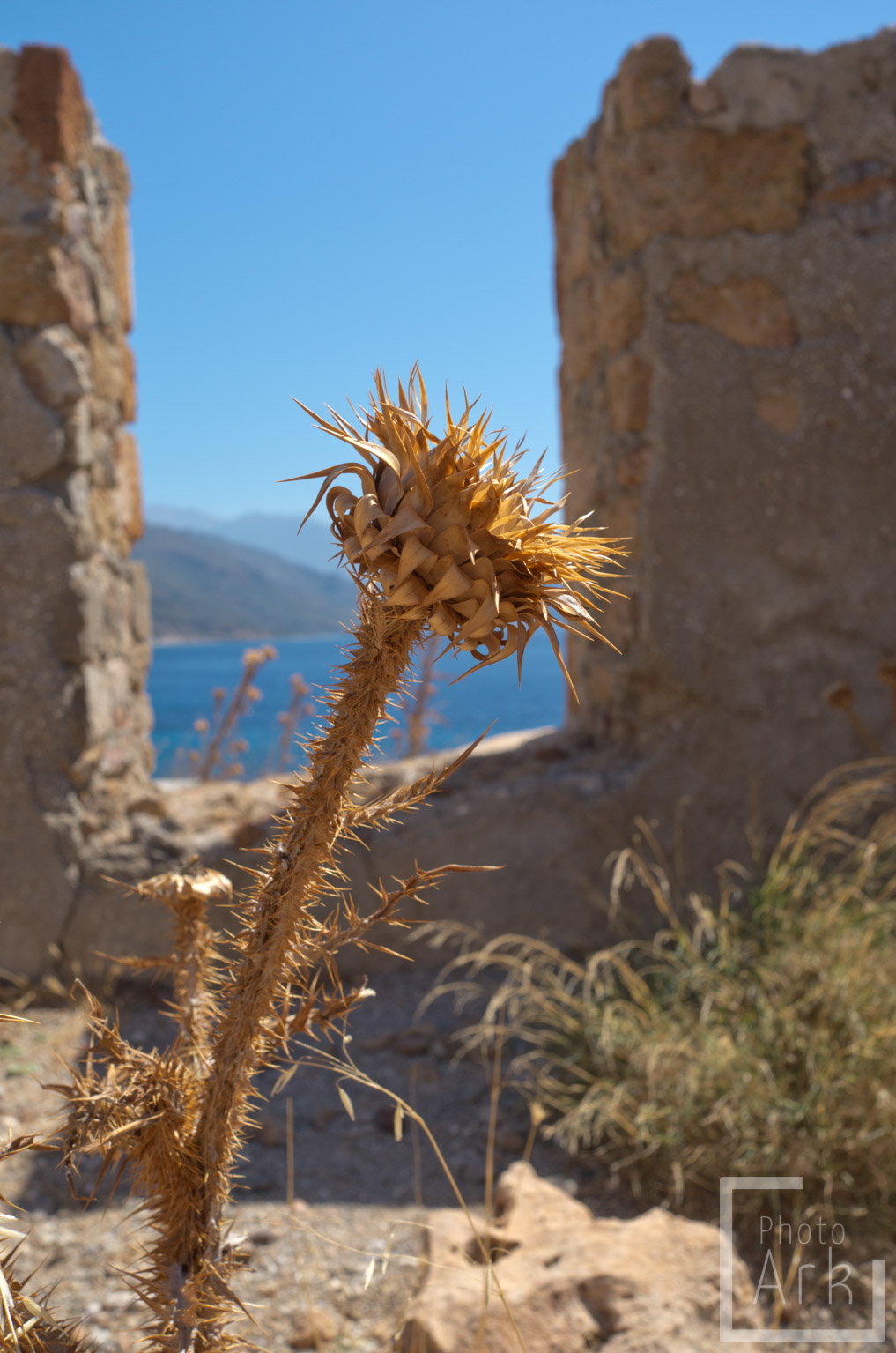 Crete Paleochora