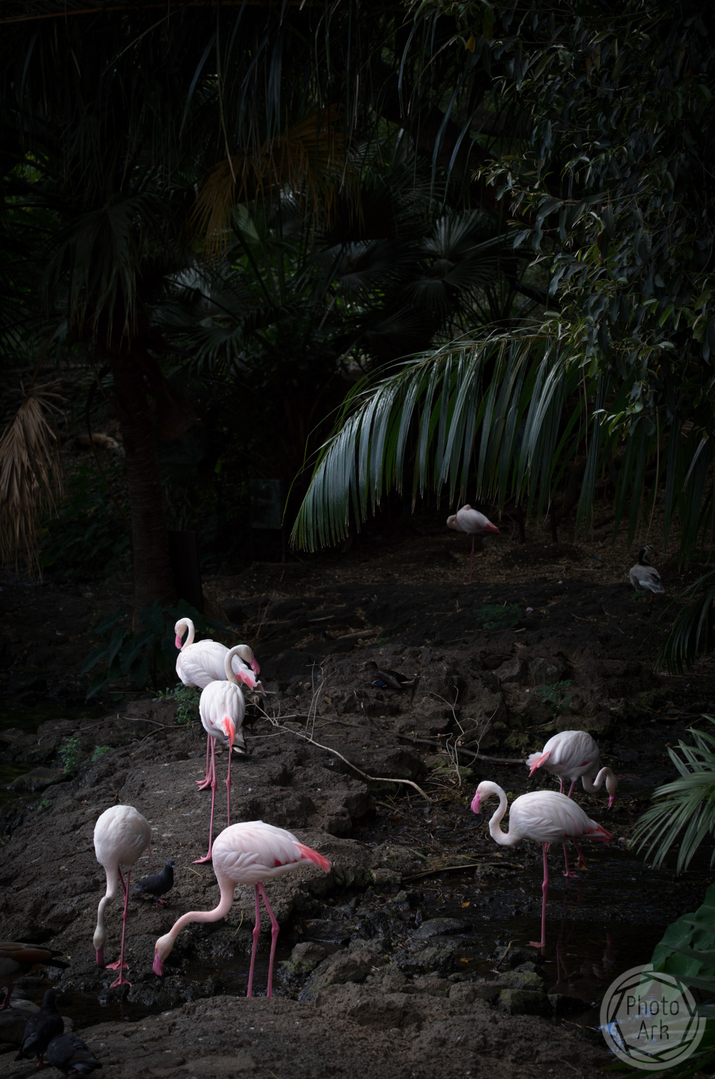 Casela Nature Park