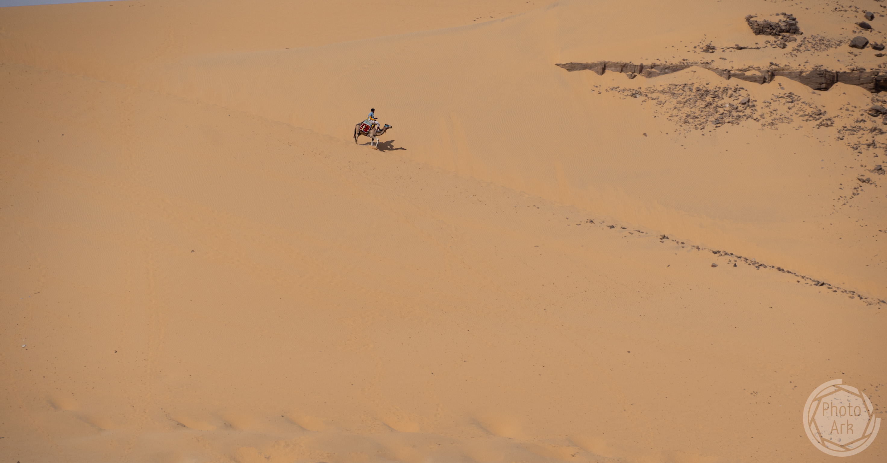 Aswan
