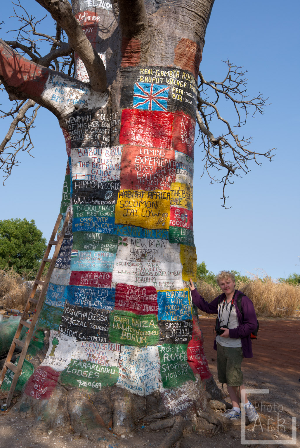 The Gambia The Advert Tree
