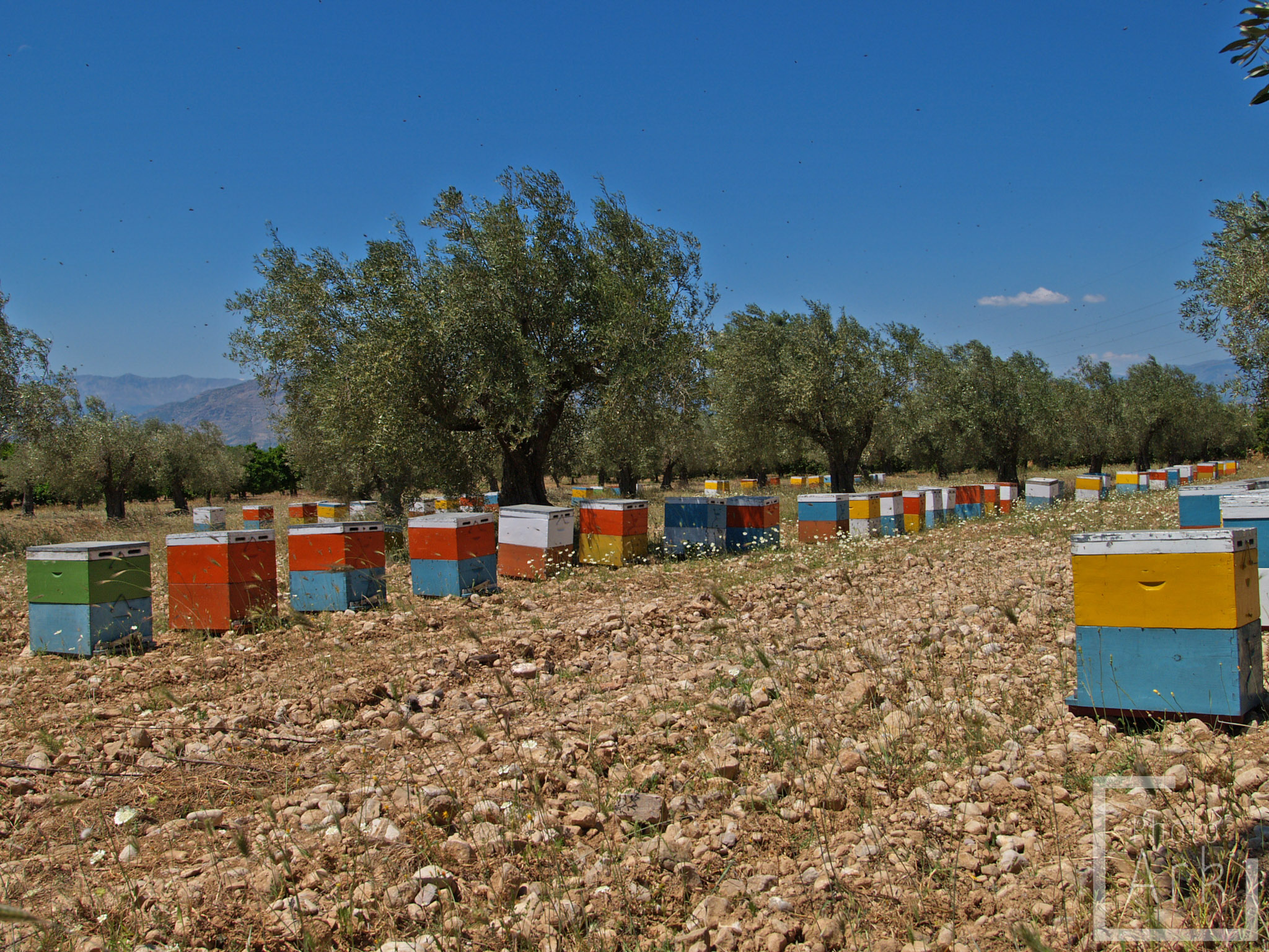 Peloponnese Road Trip Heraion