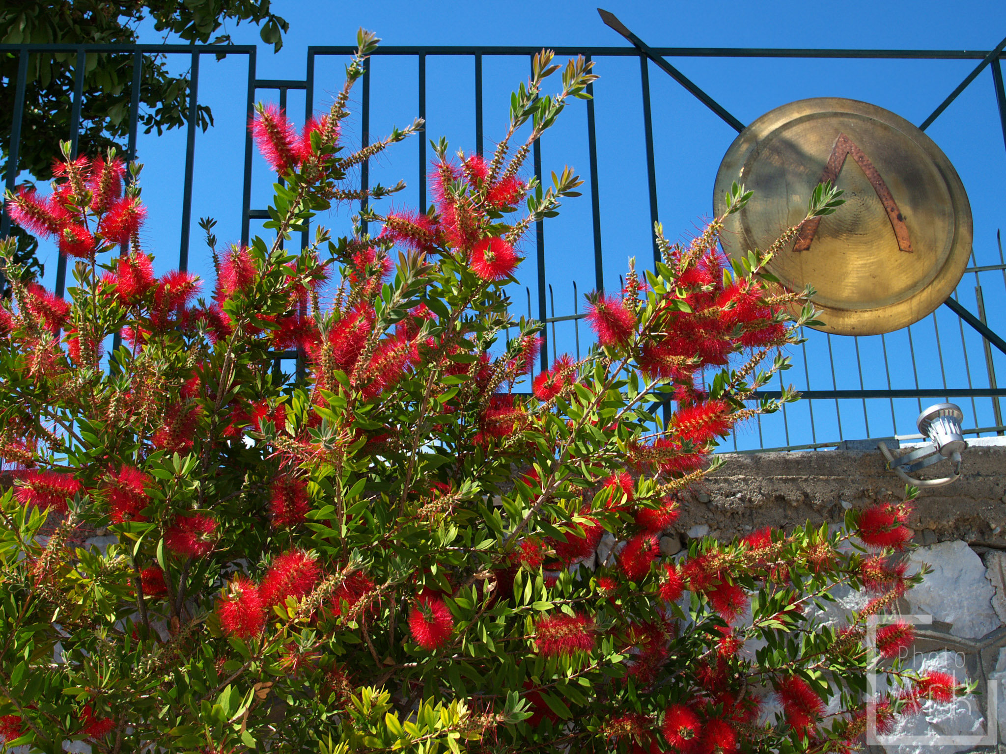 Peloponnese Road Trip Sparta