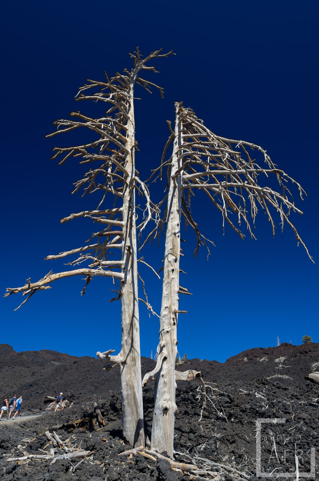 Sicily Etna