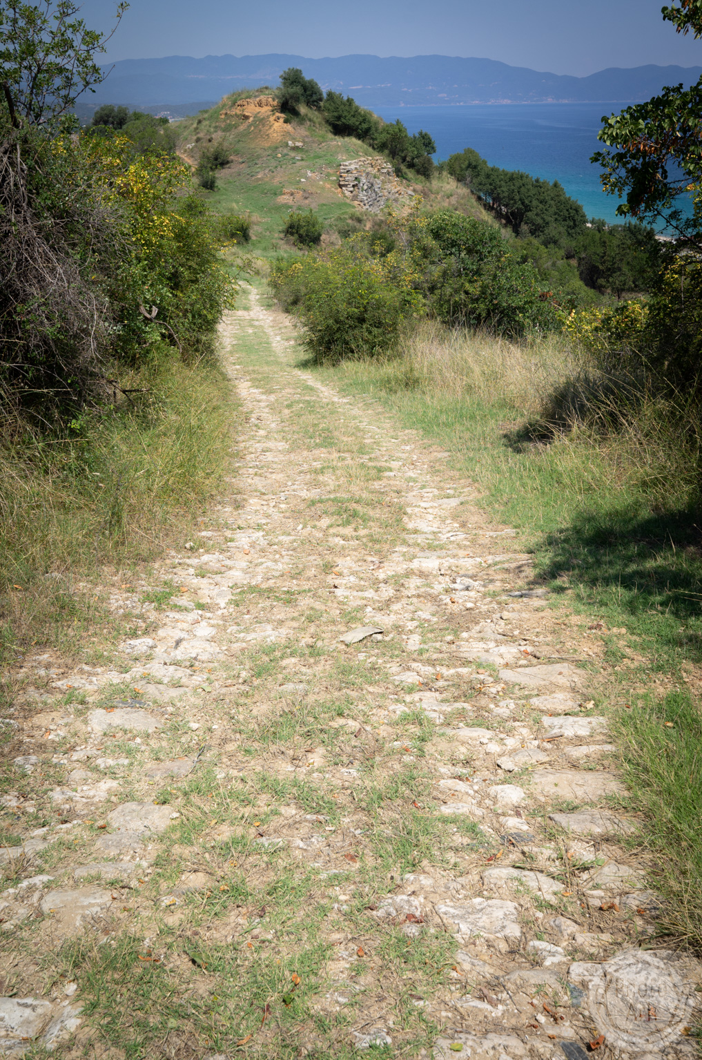 Akanthos