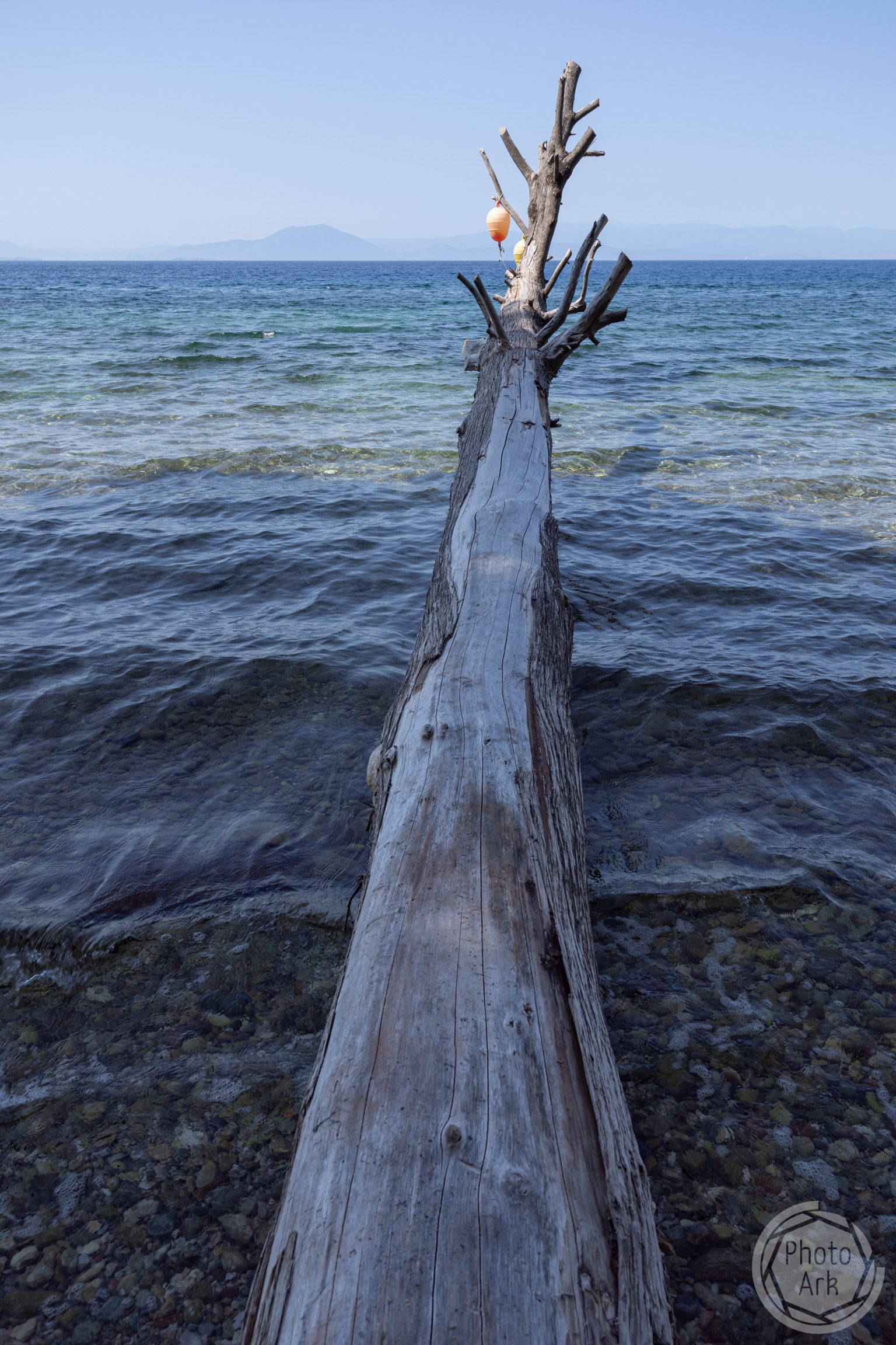 Pelion